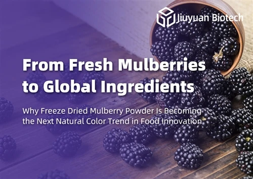 Von frischen Maulbeeren zu globalen Zutaten: Warum gefriergetrocknetes Maulbeerpulver zum nächste...