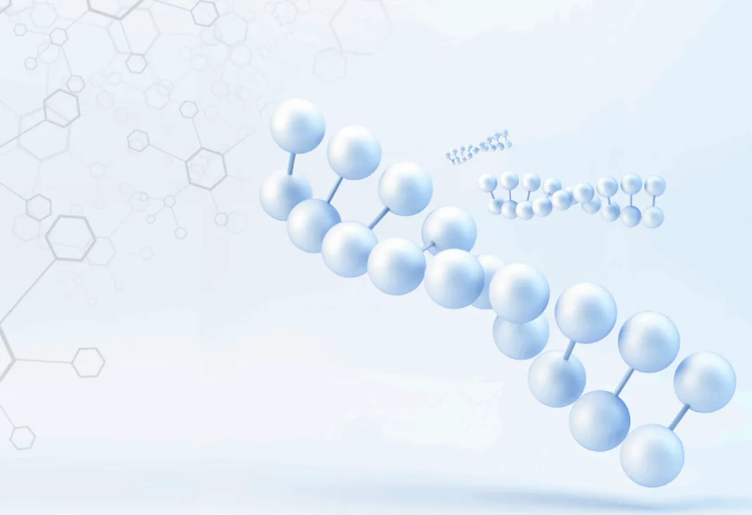 Anti-oxidation and free radical scavenging Anti-oxidation and free radical scavenging